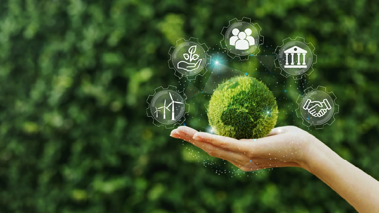 Jarea Seguridad Alimentaria - Quienes somos image